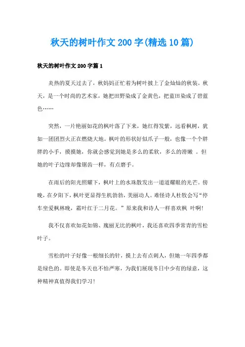 秋天的树叶作文200字(精选10篇)