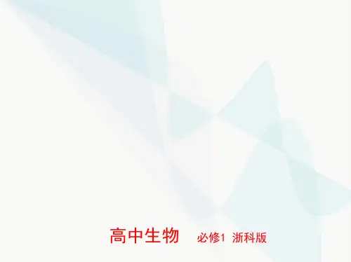 浙科版高中生物必修1第三章细胞的代谢第五节光合作用将光能转化为化学能课件