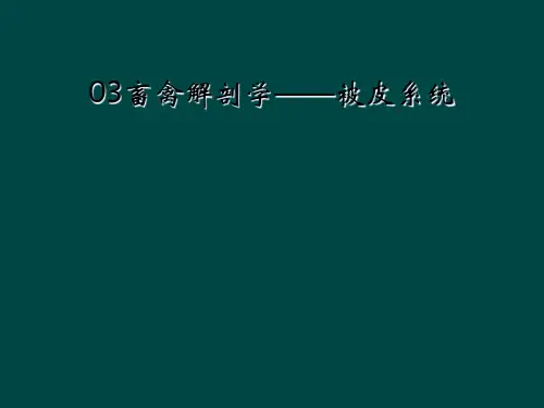 03畜禽解剖学——被皮系统