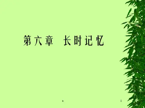 认知心理学第6章长时记忆