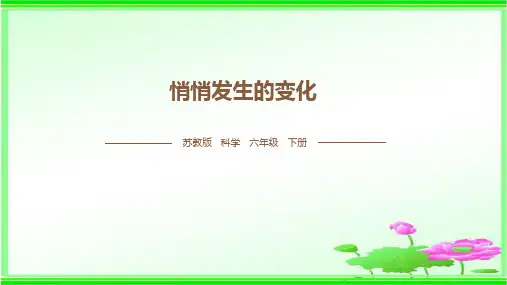 六年级下册科学课件   第一单元 2、悄悄发生的变化  苏教版  共15张