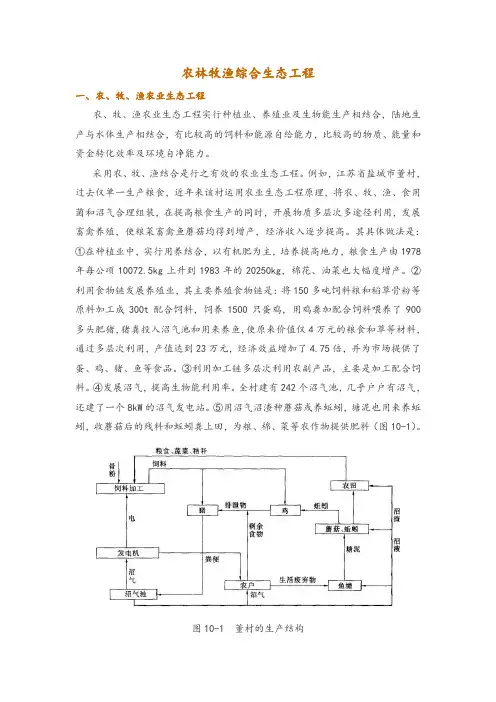 农林牧渔综合生态工程