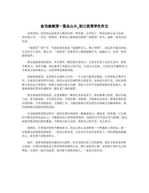 会当凌绝顶一览众山小_初三优秀学生作文