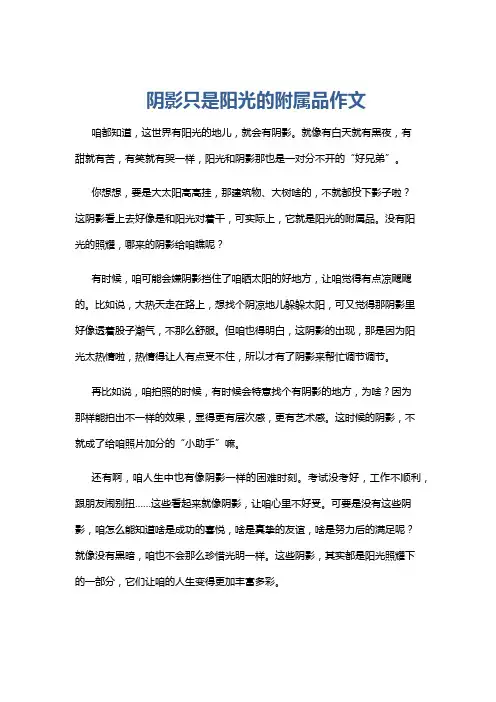 阴影只是阳光的附属品作文