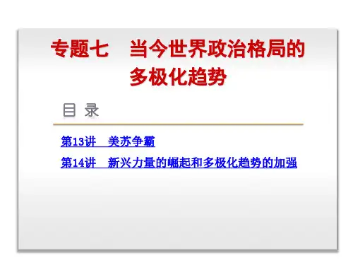 高考复习方案2015届高考历史(人民版)一轮复习课件：专题7-当今世界政治格局的多极化趋势-历史-人民版