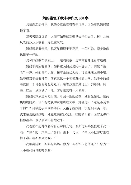 妈妈错怪了我小学作文500字