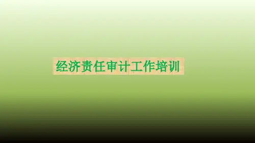 经济责任审计PPT精选文档