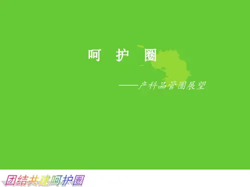 产科品管圈精选PPT
