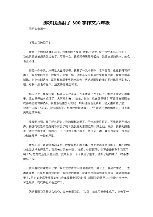 那次我流泪了500字作文六年级