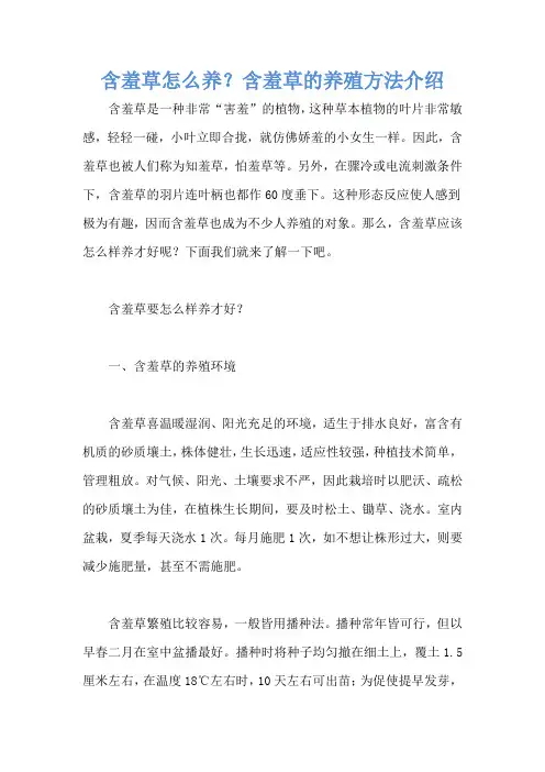 含羞草怎么养？含羞草的养殖方法介绍