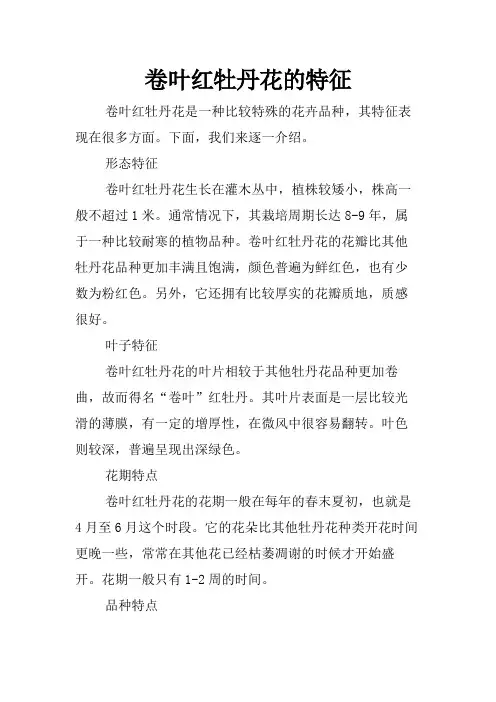 卷叶红牡丹花的特征