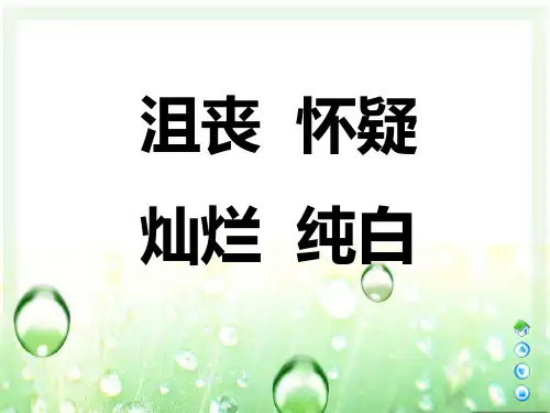 希望的种子课件