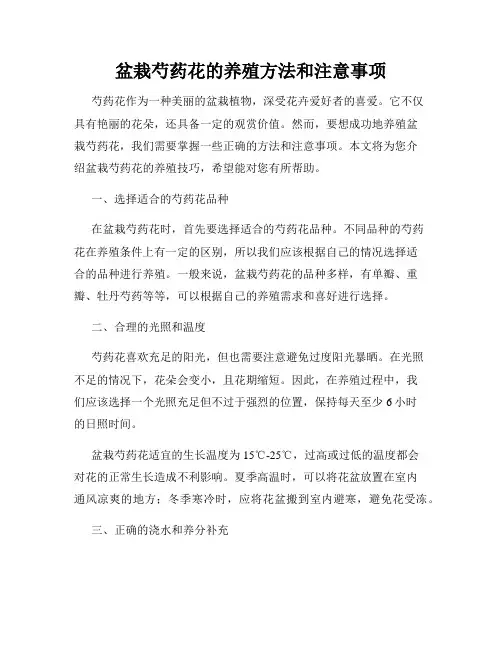 盆栽芍药花的养殖方法和注意事项