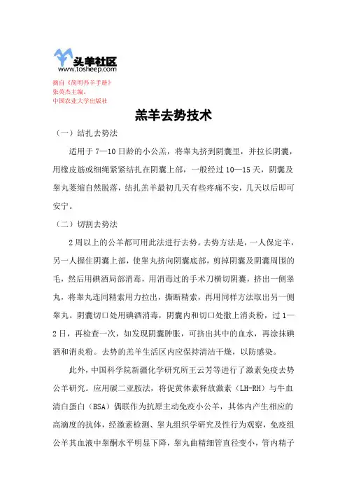 羔羊去势技术