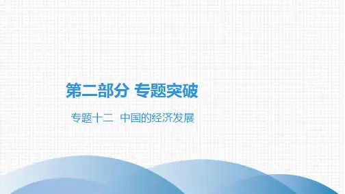 2022中考地理专题十二 中国的经济发展