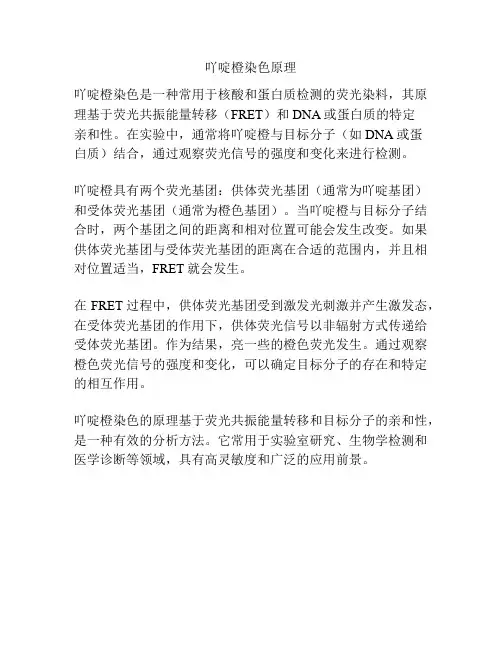 吖啶橙染色原理