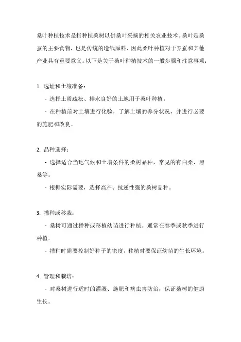 桑叶种植技术