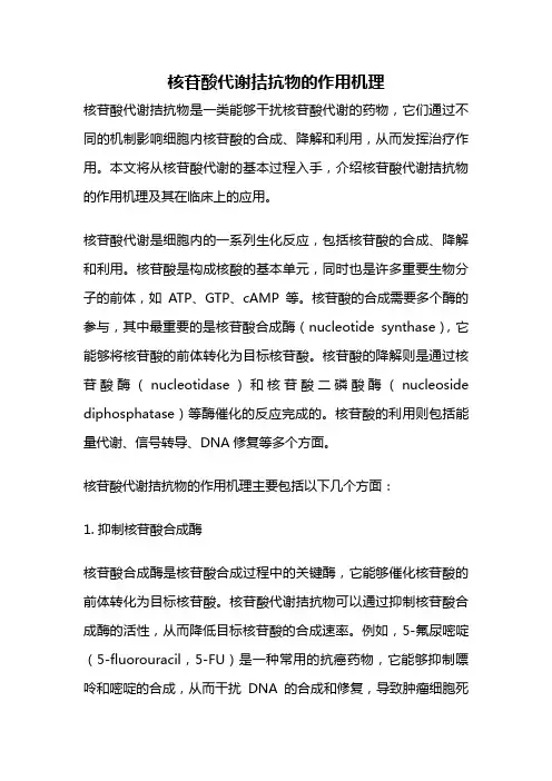 核苷酸代谢拮抗物的作用机理