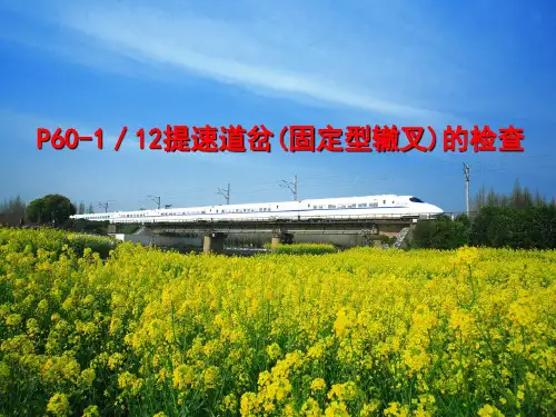 2.单开道岔检查