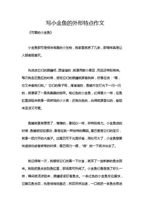 写小金鱼的外形特点作文