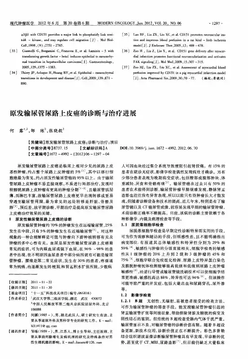 原发输尿管尿路上皮癌的诊断与治疗进展