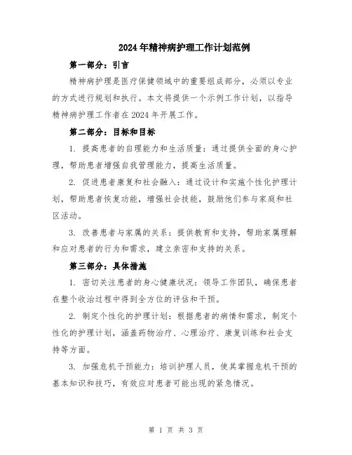2024年精神病护理工作计划范例