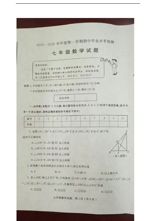 山东省莱州市2019-2020学年第一学期期中七年级试卷及答案(鲁教版)
