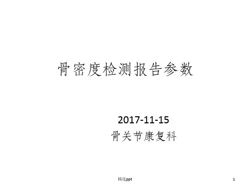 骨密度检测报告参数