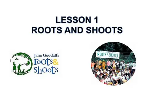 Unit+8+Green+Living+Lesson+1+Roots+And+Shoots+课件