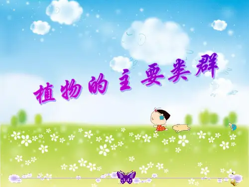 植物的主要类群(全)PPT课件