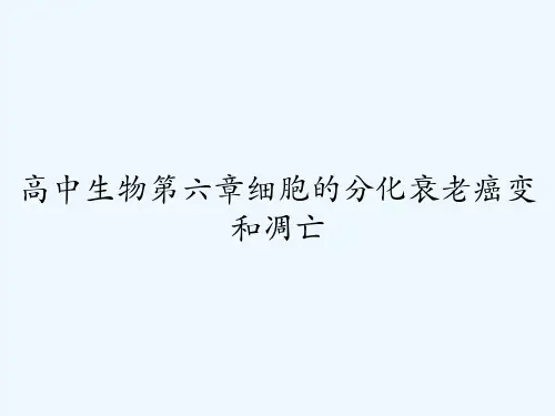 高中生物第六章细胞的分化衰老癌变和凋亡