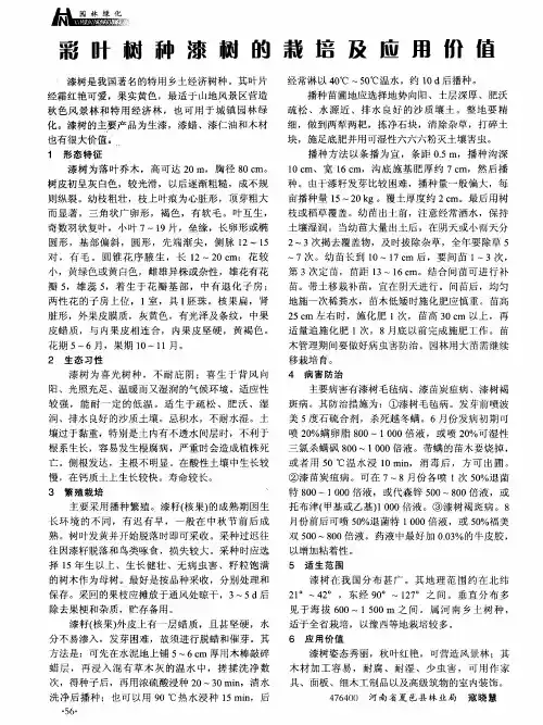 彩叶树种漆树的栽培及应用价值