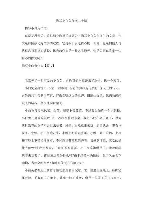 描写小白兔作文二十篇