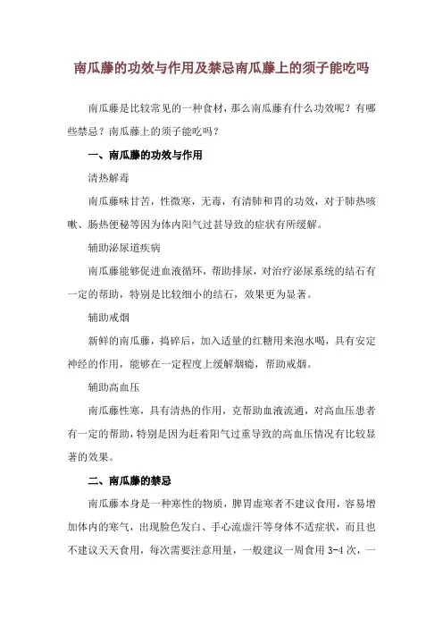 南瓜藤的功效与作用及禁忌 南瓜藤上的须子能吃吗