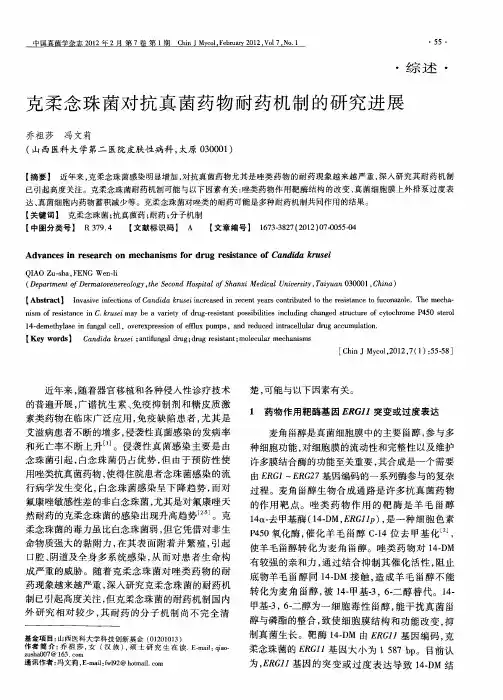 克柔念珠菌对抗真菌药物耐药机制的研究进展