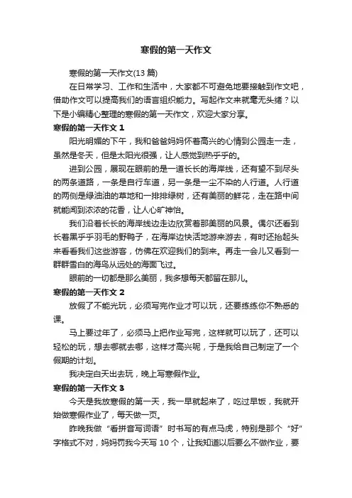 寒假的第一天作文