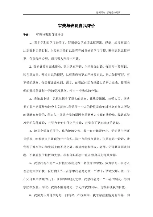 审美与表现自我评价
