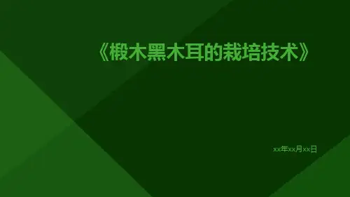 椴木黑木耳的栽培技术
