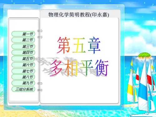 物理化学简明教程(印永嘉) 多相平衡