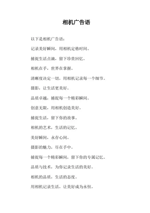 相机广告语