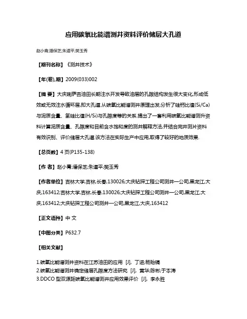 应用碳氧比能谱测井资料评价储层大孔道