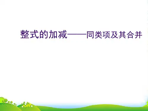 人教版七年级数学上册《整式的加减同类项及其合并》课件(共27张PPT)