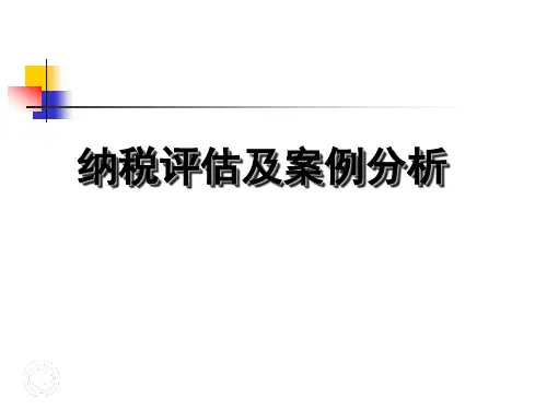 纳税评估及案例分析