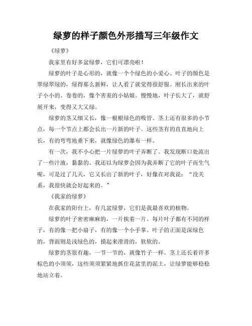 绿萝的样子颜色外形描写三年级作文