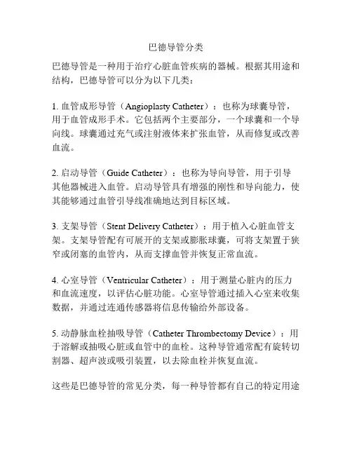 巴德导管分类