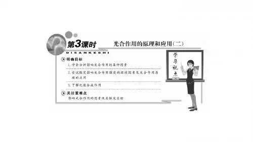 新人教生物必修1课件：第5章 第4节 第3课时 光合作用的原理和应用(二)