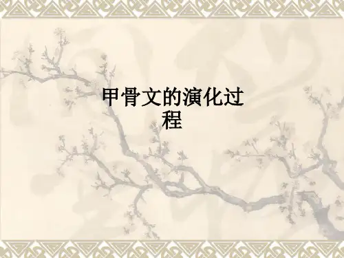 甲骨文的演化过程ppt课件