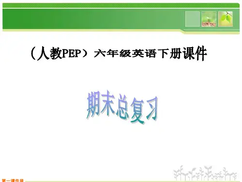 期末总复习人教PEP版六年级下册课件.ppt
