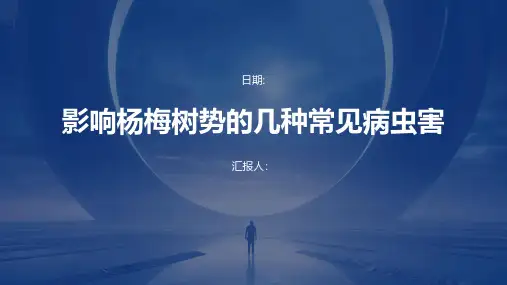 影响杨梅树势的几种常见病虫害
