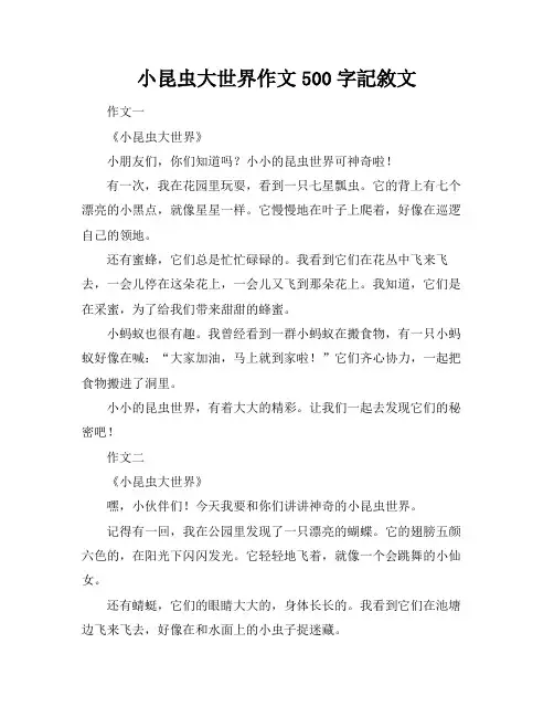 小昆虫大世界作文500字记叙文